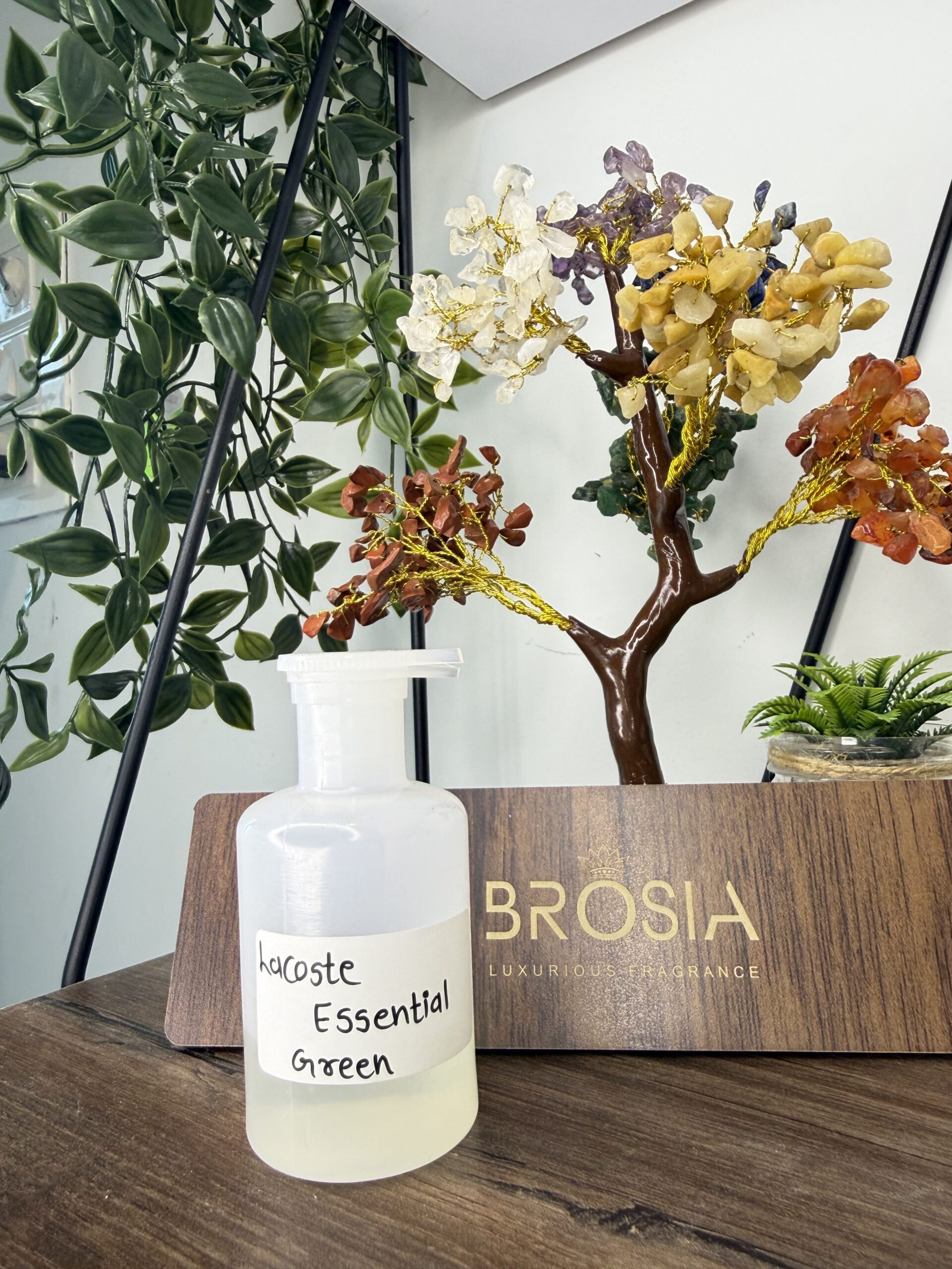 Lacoste Essential Green by BROSIA