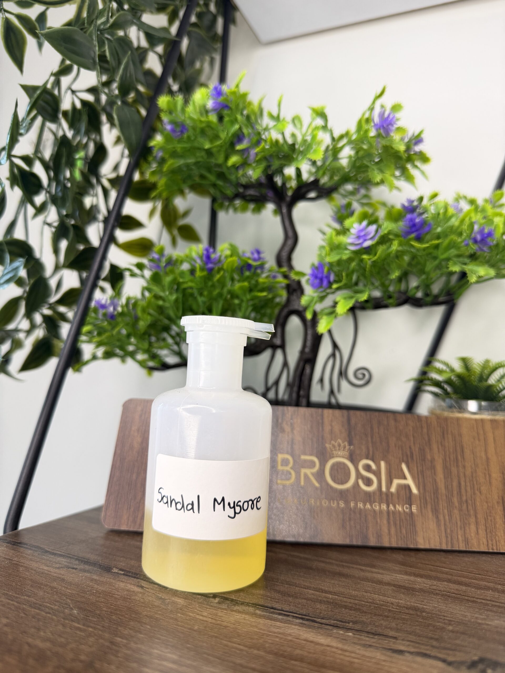 Sandal Mysore by BROSIA