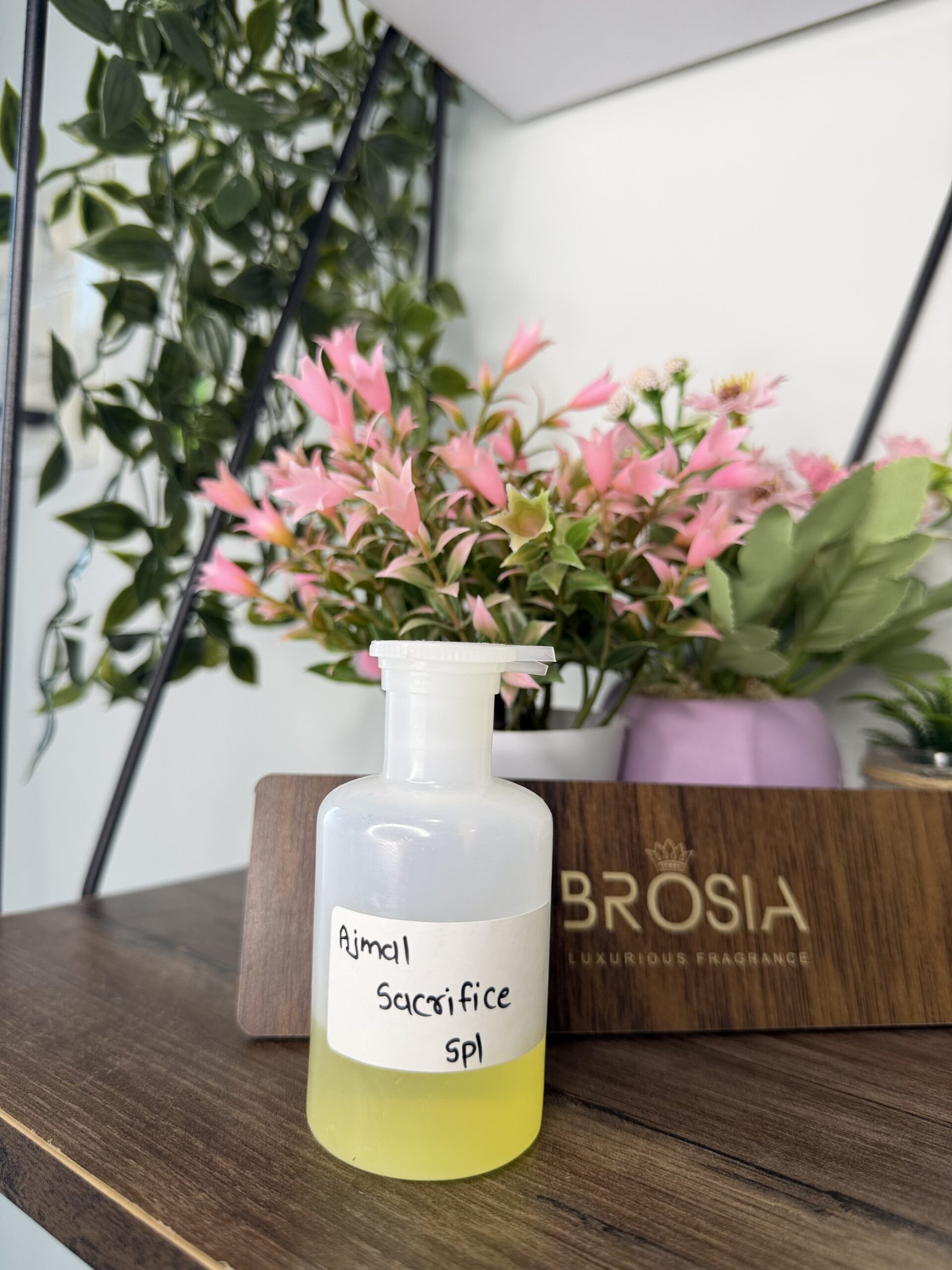 Ajmal Sacrifice Spl by BROSIA