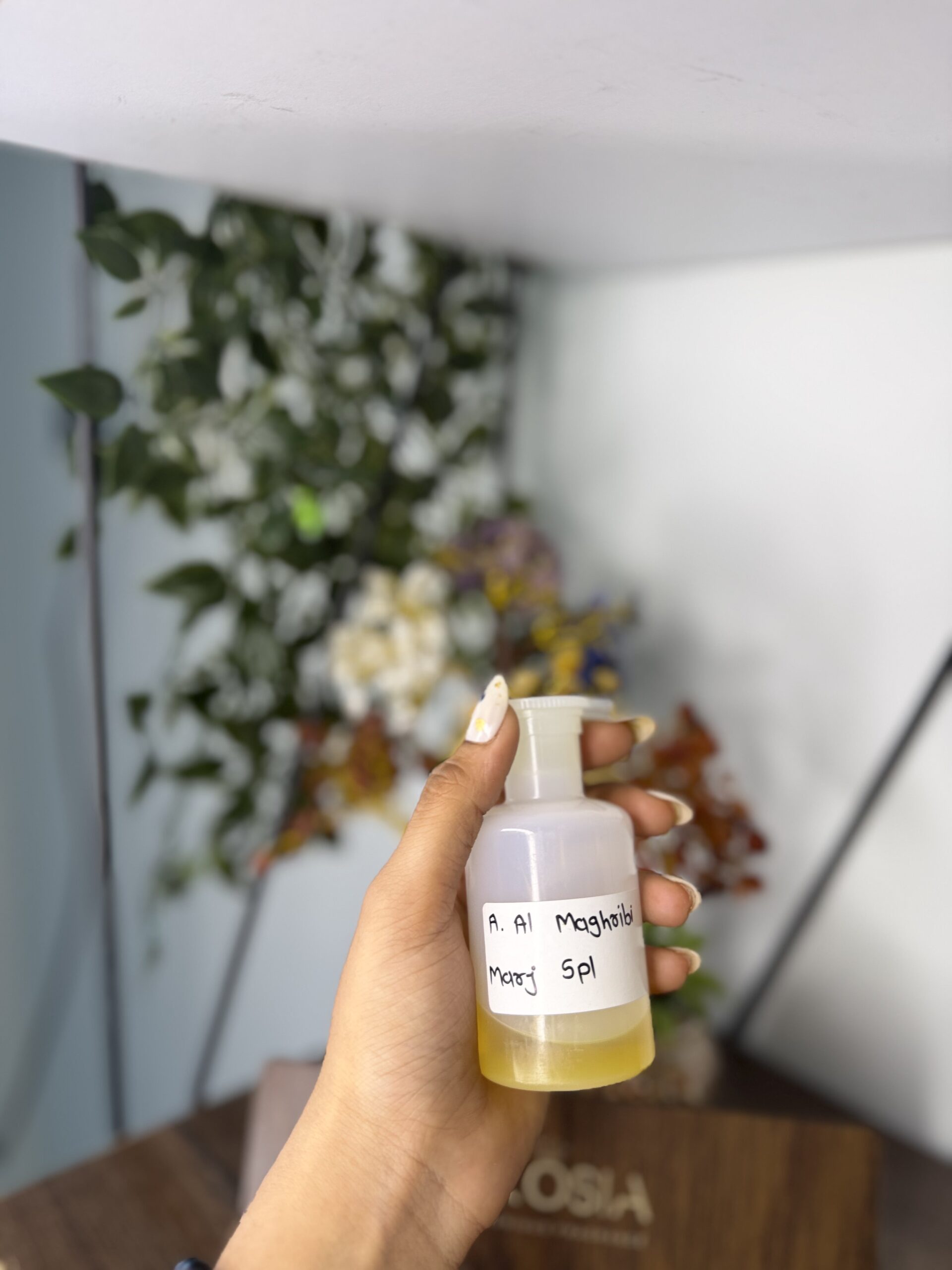 Ahmed Al Maghribi Marj Spl by BROSIA